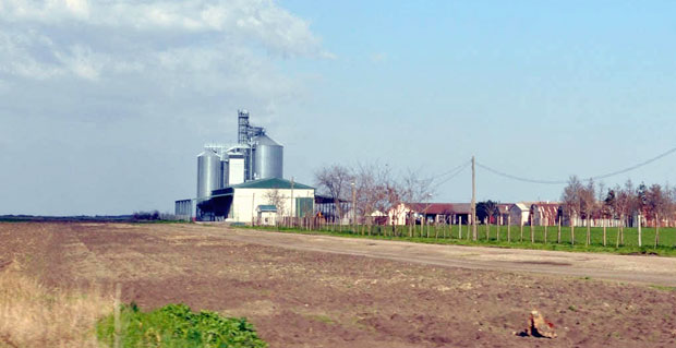 Тенис једном ногом у Србији